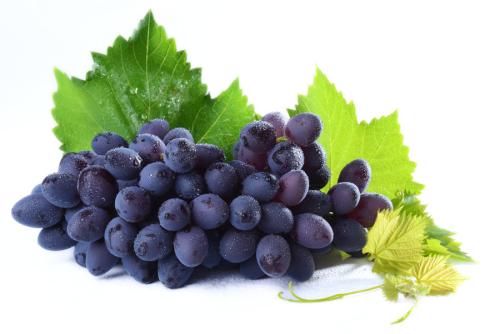 长沙白癜风患者可以吃葡萄吗？